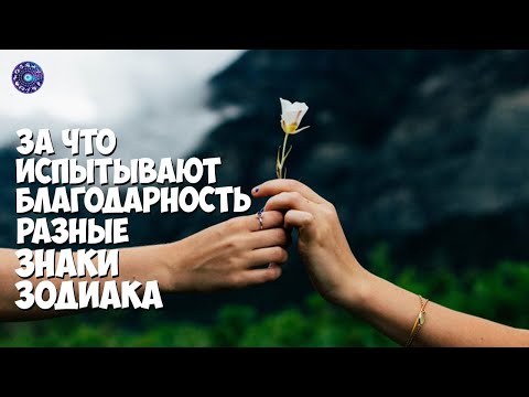 За что испытывают благодарность разные знаки зодиака