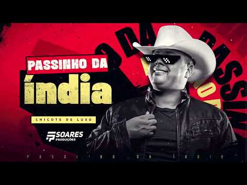Passinho da Índia Chicote De Luxo Hit Novo Sucesso 2024