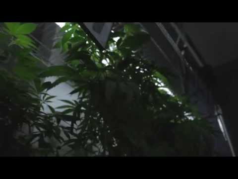 DEMRICK x CALI CLEVE - LOSING FOCUS (ALBUM LISTENING PARTY@ KVC)