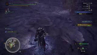[アイスボーン配信］導かれた［概要欄必読］