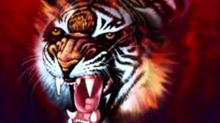 GINJI JAMES       HONEY BABE