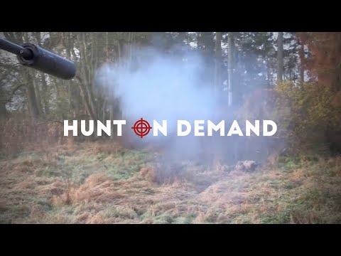 Drückjagd im Schilf - Hunter Brothers Hunt on Demand Trailer