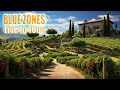 Blue Zones Secrets For Living Longer