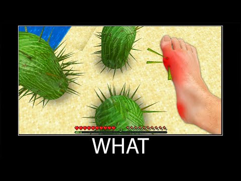 Minecraft wait what meme part 272 realistic minecraft Cactus