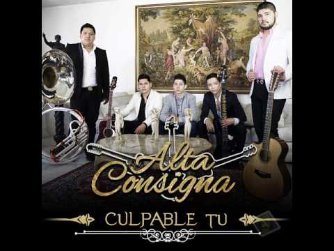 Alta Consigna - Busca Amor (Official)