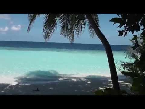 Ein einsamer Strand auf den Malediven