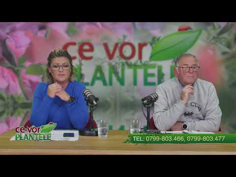 Preparing fruit trees for winter Cristina Ghibu and Horia Ghibu