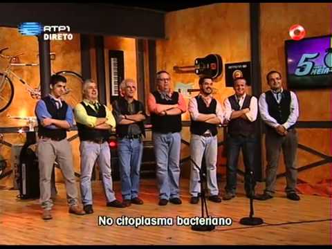 Adiafa "Bactéria Alentejana" / Nuno Markl / 5 Para a Meia Noite