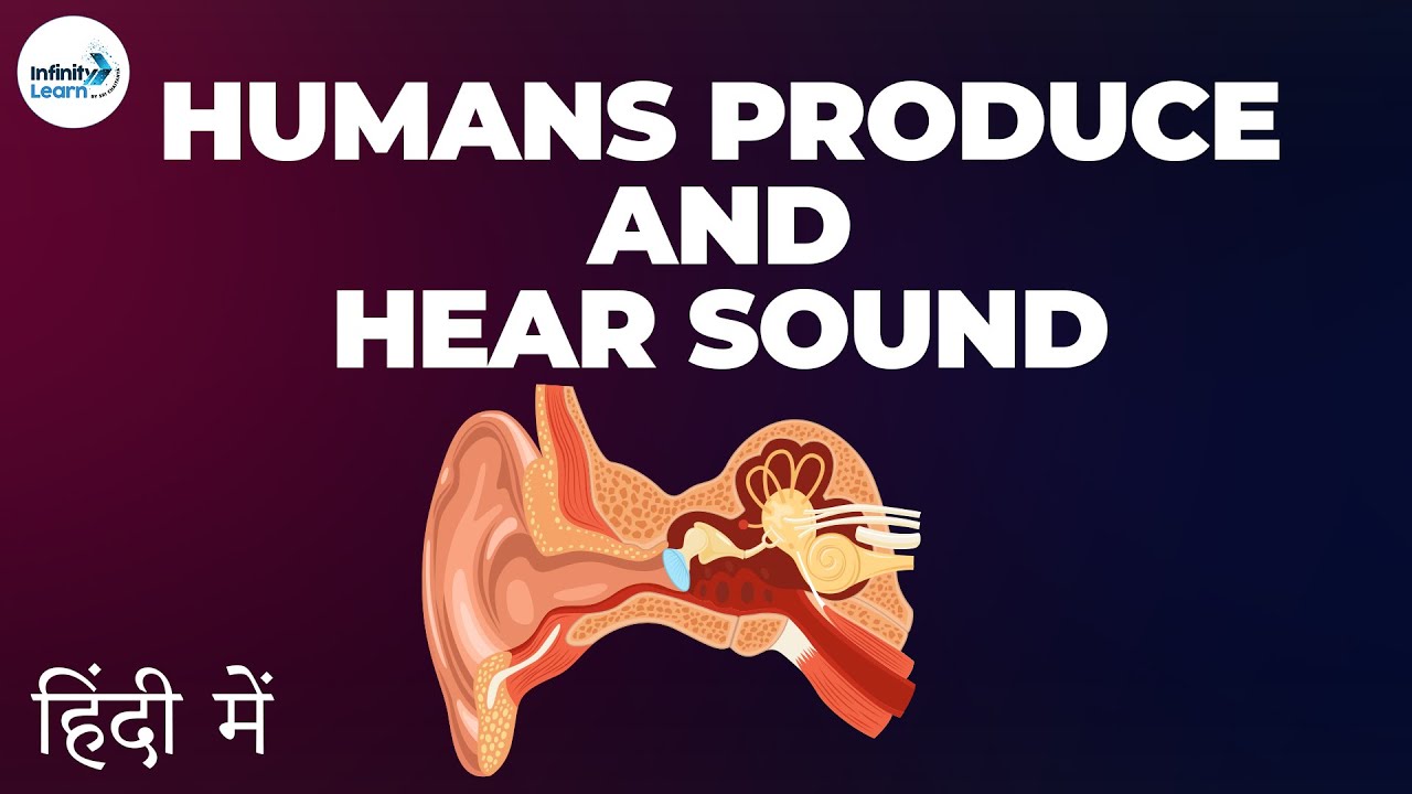 Sound - Lesson 06 | How humans produce and hear sound - in Hindi (हिंदी में ) | Don't Memorise