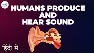 Sound - Lesson 06 | How humans produce and hear sound - in Hindi (हिंदी में ) | Don't Memorise