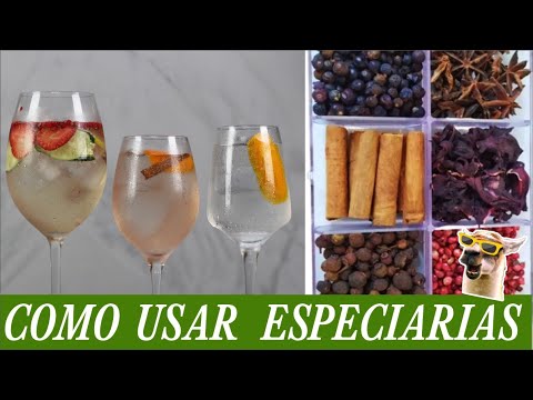 Gin and Tonic: How to Use Spices, Juniper, Hibiscus, and Pink Peppercorns