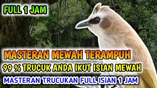 Download lagu Super Mewah!! Masteran Trucukan 1 jam Full Isian Paling ampuh, 99 % Trucuk Anda Ikut Mewah mp3 Download lagu Super Mewah!! Masteran Trucukan 1 jam Full Isian Paling ampuh, 99 % Trucuk Anda Ikut Mewah mp3