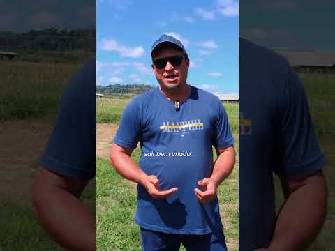 Alto Paraíso, por meio da Secretaria de Agricultura #gado #pecuaria #agro #fazenda #vidanocampo