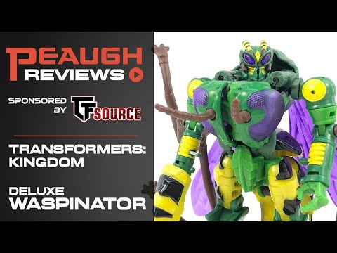 Video Review: Transformers War for Cybertron - Deluxe WASPINATOR