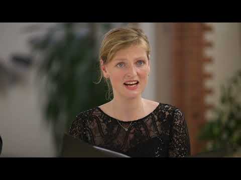 Matthias Weckmann: Wie liegt die Stadt so wüste