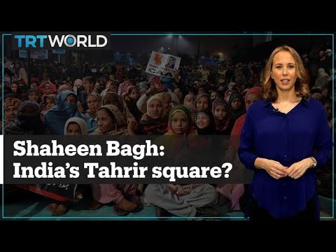 Why is India’s ruling party demonising the Shaheen Bagh protesters?