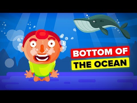 屍體在海底會發生什麼事？ (What Happens To Your Body at the Bottom Of The Ocean)