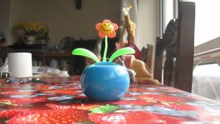 lene lovich sings angels for miss plant