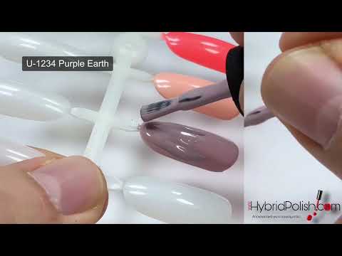 B.S. Hybrid Polish code: U- 1234