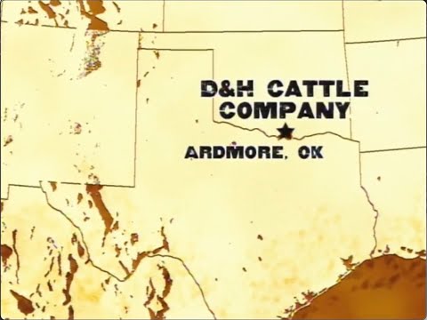 PBR Total Bull: D&H Cattle Company