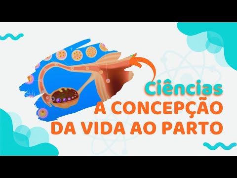 DA CONCEPÇÃO AO NASCIMENTO | Ciências #SuperAula