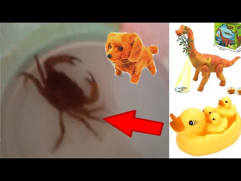 MAINAN KEPITING, MAINAN DINOSAURUS, BEBEK, ANJING DAN BURUNG | BELAJAR DAN BERMAIN ANAK