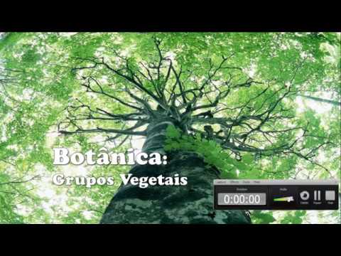 Introdução à botânica   conceitos importantes