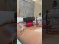 Heated Muscle Scraping Tool Combines Cupping Device For Back Recovery Massagetherapy