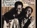 Muddy Waters - Garbage man