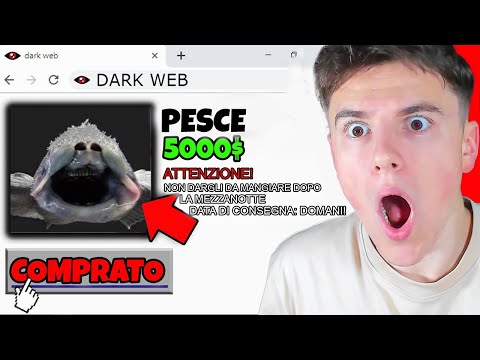 Mate and Mate Horror