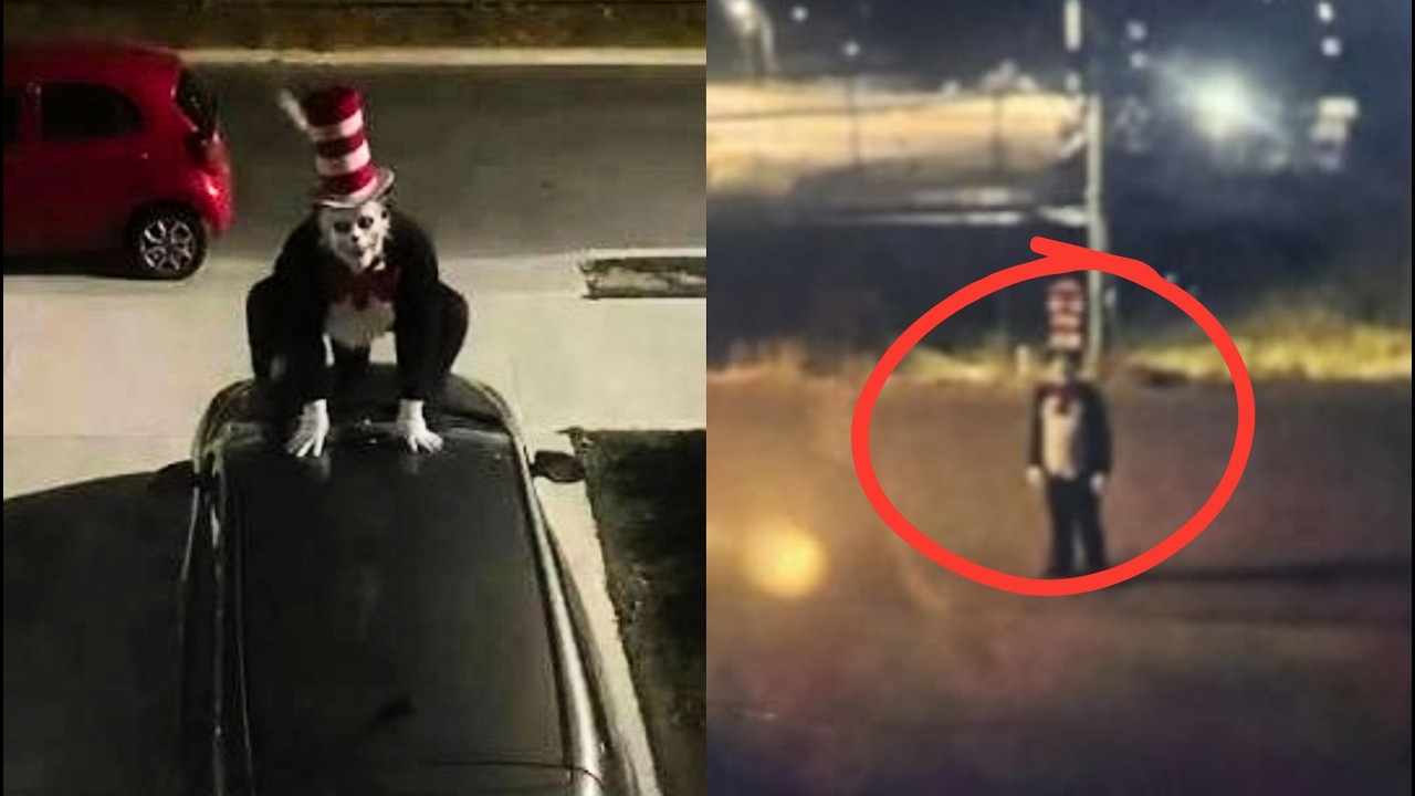 GATO con SOMBRERO provoca PÁNICO ESCOLAR en ESTADOS UNIDOS podría LLEGAR a MÉXICO
