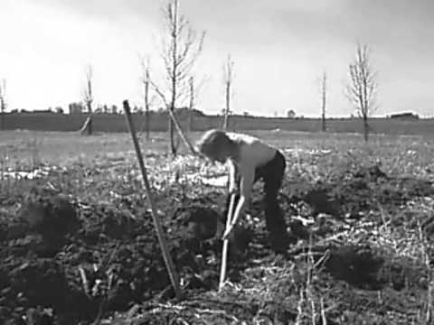 Já si kopu vlastní hrob