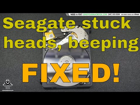 Seagate External Hard Drive is Beeping & How to Fix It