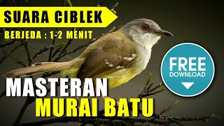 Download lagu MASTERAN MURAI BATU đź”´ suara CIBLEK NGEBREN berjeda 1-2 menit mp3 Download lagu MASTERAN MURAI BATU đź”´ suara CIBLEK NGEBREN berjeda 1-2 menit mp3