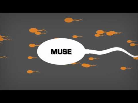 Studio Brussel Life Is Music 2013 1