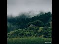 C418 Biome Fest But Its The Relaxing Spooky Part