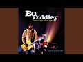 Bo diddley