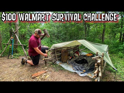 7 Day $100 Walmart Survival Challenge - 3 Months Later