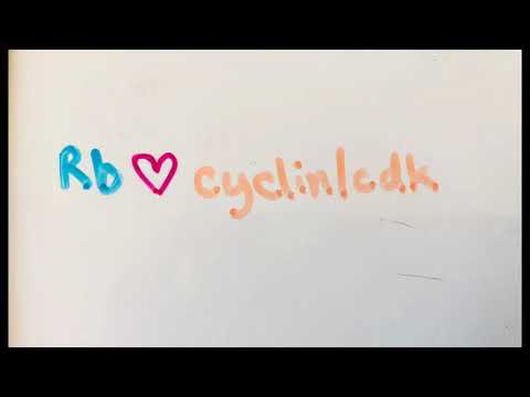 Retinoblastoma Simplified: The Lonely Rb