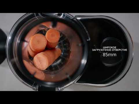 Миниатюра изображения товара Соковыжималка электрическая BQ J1003 (черный/сталь)