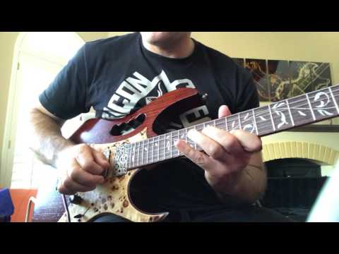 Home/Phone Video - Steve Vai - For The Love of God Part 1