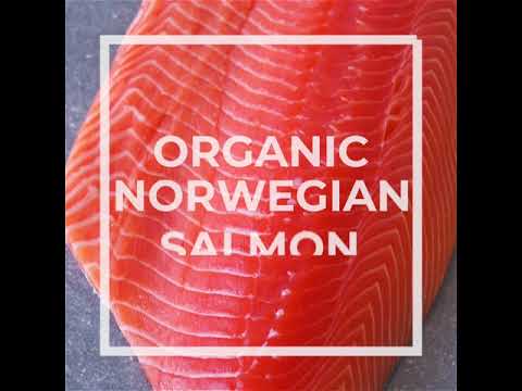 Greenfish | Organic Salmon Fillet | Fresh Box | Cultivated