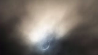 shetland lerwick let seagulls take you to eclipse 20 3 2015