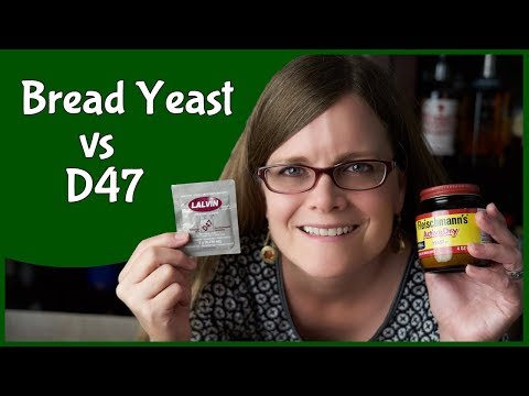Bread Yeast or D47 - which is Better?