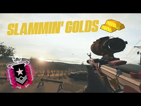 How a GO4 CHAMPION Slams golds