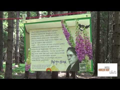 Erlebnisinsel am Harzer Hexenstieg