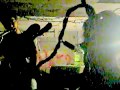 Tin Armor at Lost Cross