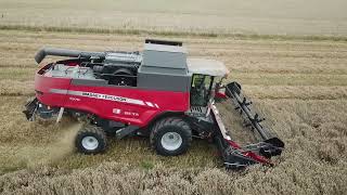 Massey Ferguson 7370 BETA | Graan dorsen | Massey Ferguson Graancoupe
