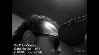 preview picture of video 'Os Três Valetes - Gata Maluca - TNT (cover)'