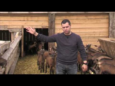 Može bolje ep. 17 03.06.2017. NAJAVA